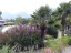 20170906_133518